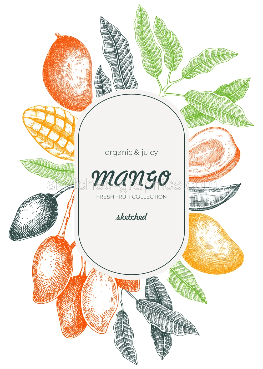 Tropical fruit flyer template. Summer background. Mango fruit sketch, hand-drawn vector illustration. Tropical plant frame, juice packaging, print design. NOT AI generated Illustration